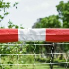 Bild 9 von 10