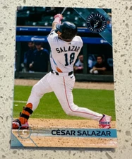 2024 Sugar Land Space Cowboys Cesar Salazar #17 Houston Astros