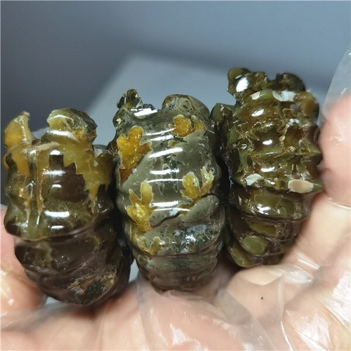 150g Ammonite specimens of natural conch from "goat's horn" of Madagascar L810 - Picture 6 of 13