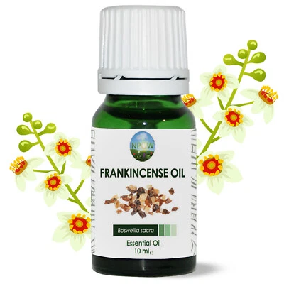 Frankincense Essential Oil 10ml - Boswellia sacra - CAS 8016-36-2 by NPOW™
