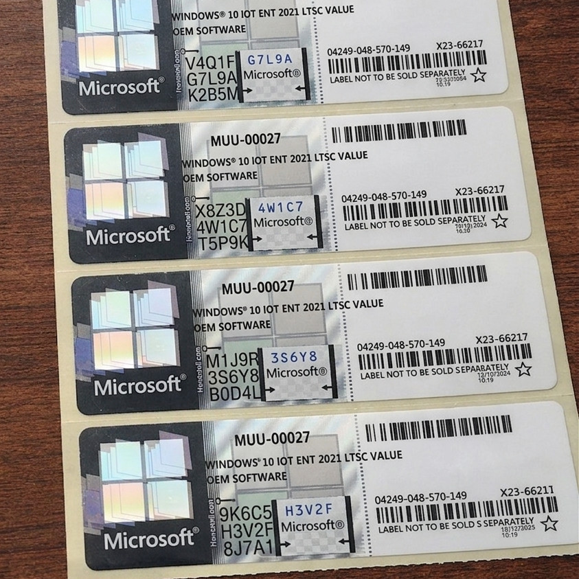 Windows 10 IOT Enterprise MUI 2021 LTSC Value OEM Software NEW