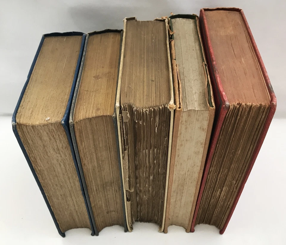 1907-16 COLLECTION OF 5  TOPOGRAPHY BOOKS Royal Palaces  Lakes COLOUR PLATES - Image 3 of 4