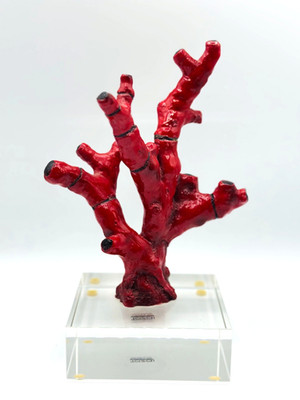 Faux Coral Sculpture With Glass Base, by Tozai Home Decor 9 in Resin/Glass
