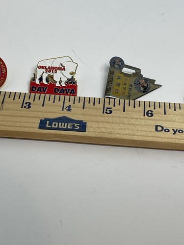 DAV Disabled American Veterans DAVA Auxiliary 5 State Pins IN NM OK OR NV Lapel - Picture 8 of 11
