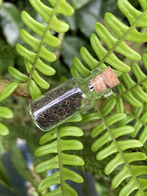 #ad #ad Olivine Crystal Volcanic Soil Pele’s Hair Olivine Mineral Soil Rich Dirt. 2ml. $17.00