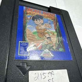 Secret Scout in the Temple of Demise Nintendo NES Cart Only Color Dreams