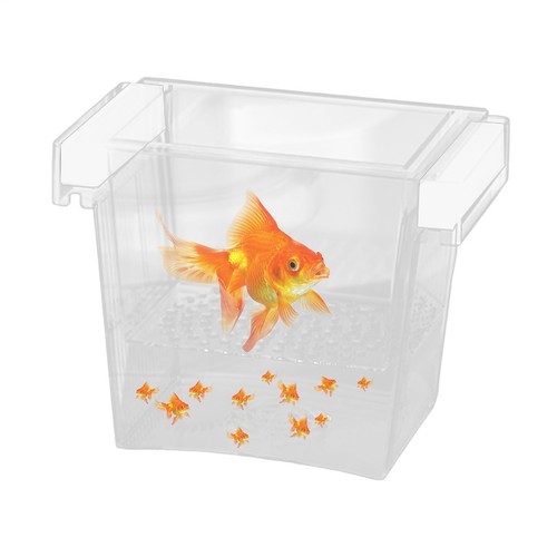 Breeder Box For Fish Tank Mesh Breeding Box For Fish Tank Nursery Superbly