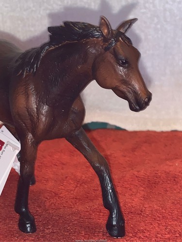 Mogo Collection 2020 Farmland Sooty Bay Quarter Horse - Picture 4 of 4