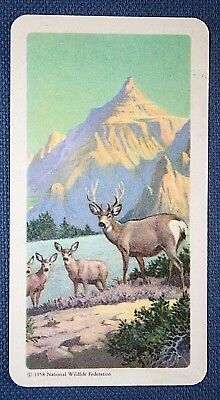 MULE DEER Illustrierte Wildtierkarte 