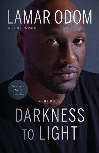 Thumbnail - Lamar Odom Chris Palmer Darkness To Light (gebundene Ausgabe)