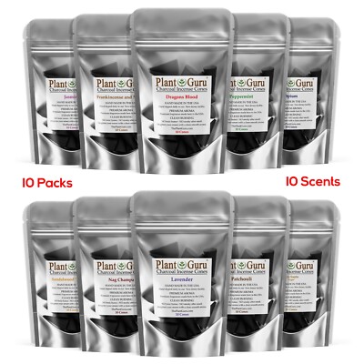 100 Charcoal Incense Cones 1'' BULK Variety Set Assorted 10 Packs 10 Scents LOT