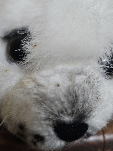 Russ Berrie The Yomiko Collection White Seal Small Plush 8"  Collectible w/tag - Picture 3 of 11