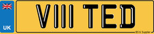 TEDDY Registration Number Plate VIII TED Roman Numerals 8 TED Tyler Ethan DAVIES