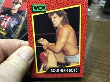 WCW WORLD CHAMPIONSHIP WRESTLING  1991 TRADING CARD # 131 TRACY SMOTHERS