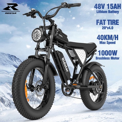 20" Electric Bicycle 1000W Motor 48V 15Ah Mountain Bike eMTB Fat Tire E-Bike - Picture 18 of 18