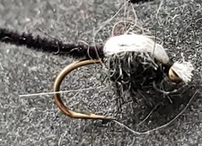 FLY FISHING FLIES NYMPH SIZE 14 EXTENDED BODY MIDGE BLACK 