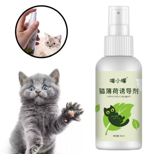 Catnip Spray for Cats Portable Fun for Indoor Cats and Kittens Interactive N ✨p - Picture 7 of 9