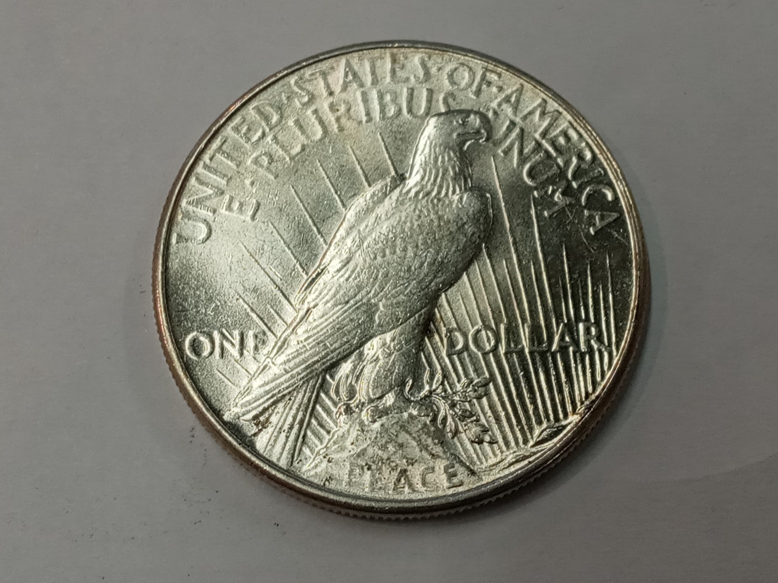 Picture 5 of 5