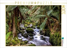 CALVENDO Puzzle St. Columba Falls in Tasmanien  1000 Teile Lege-Gr  e 64x48cm F