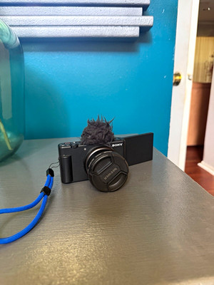 Sony ZV-1 Compact Camera Black 20.1MP 3x Zoom Wi-Fi w/ Batteries Charger