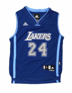 custom blue lakers jersey