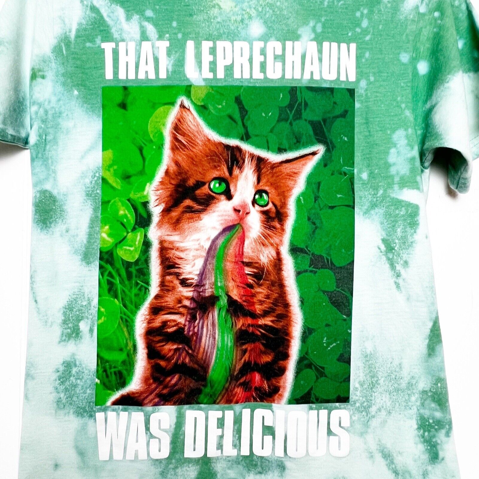 St Patrick’s Day Cat That Leprechaun Was Deliciou… - image 2