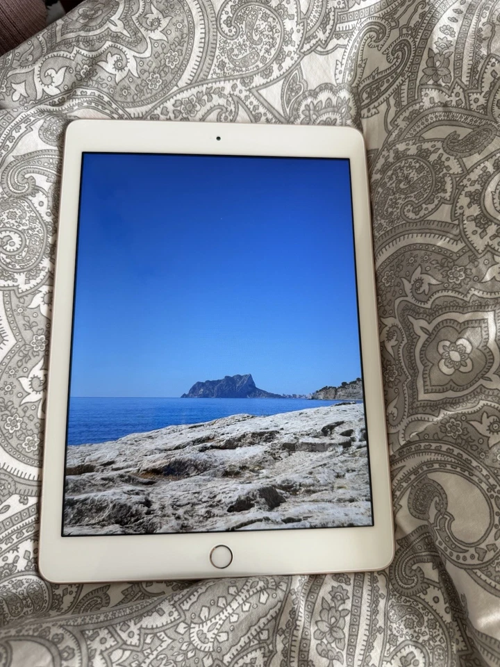 iPad Apple 6 Generation 128gb