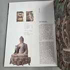 Foto 11 di 11