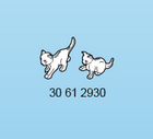 Bild 124 von 155