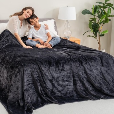VelvetLoft Big Oversized King Family Blanket, All Season Mid-Weight Ultra Sil...