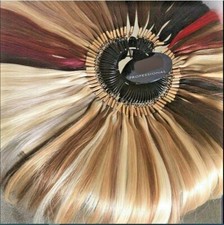 Professional Salon Colour Ring/Wheel/Chart 100% Real Human Hair Extensions UK 
