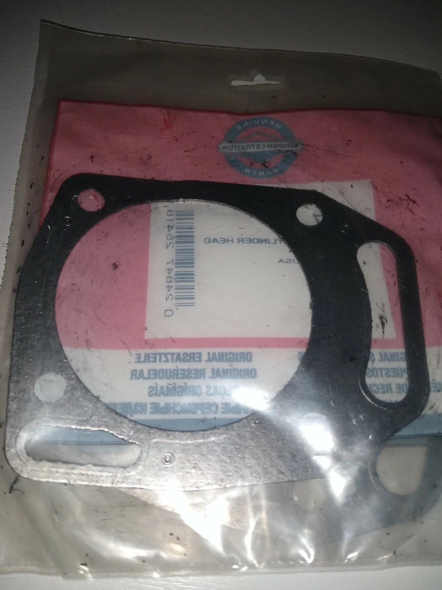 briggs & stratton 806377 | eBay