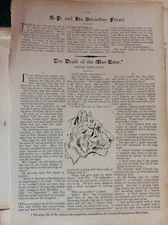 Sa22 Ephemera 1902 Short Story Death Of The Man Eater Harry David Newbery
