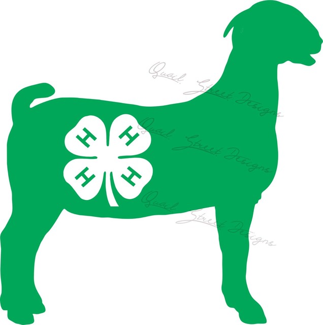 4-H Show Goat - 4H Livestock Stock Show - Vinyl Decal Free Shipping 429 ...