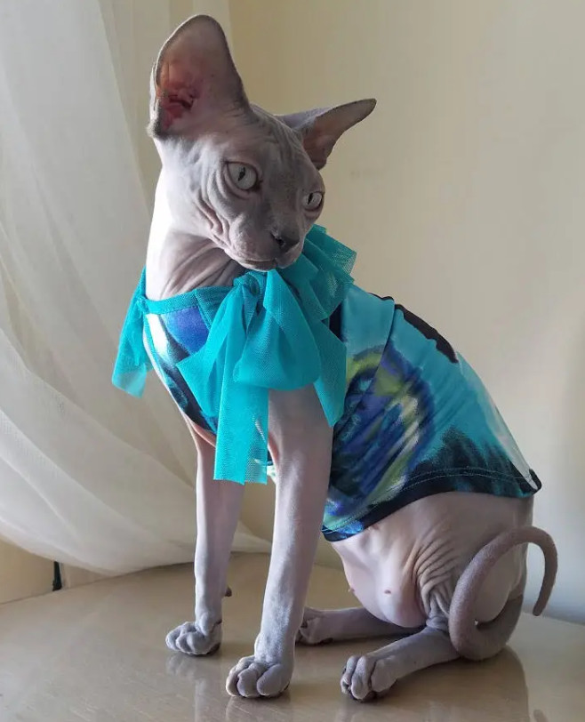 Camiseta Funky Multicolor para Gato o Perro - Ropa para Mascotas con Cuello Volantes de Tul