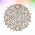 Bild 8 von 12
