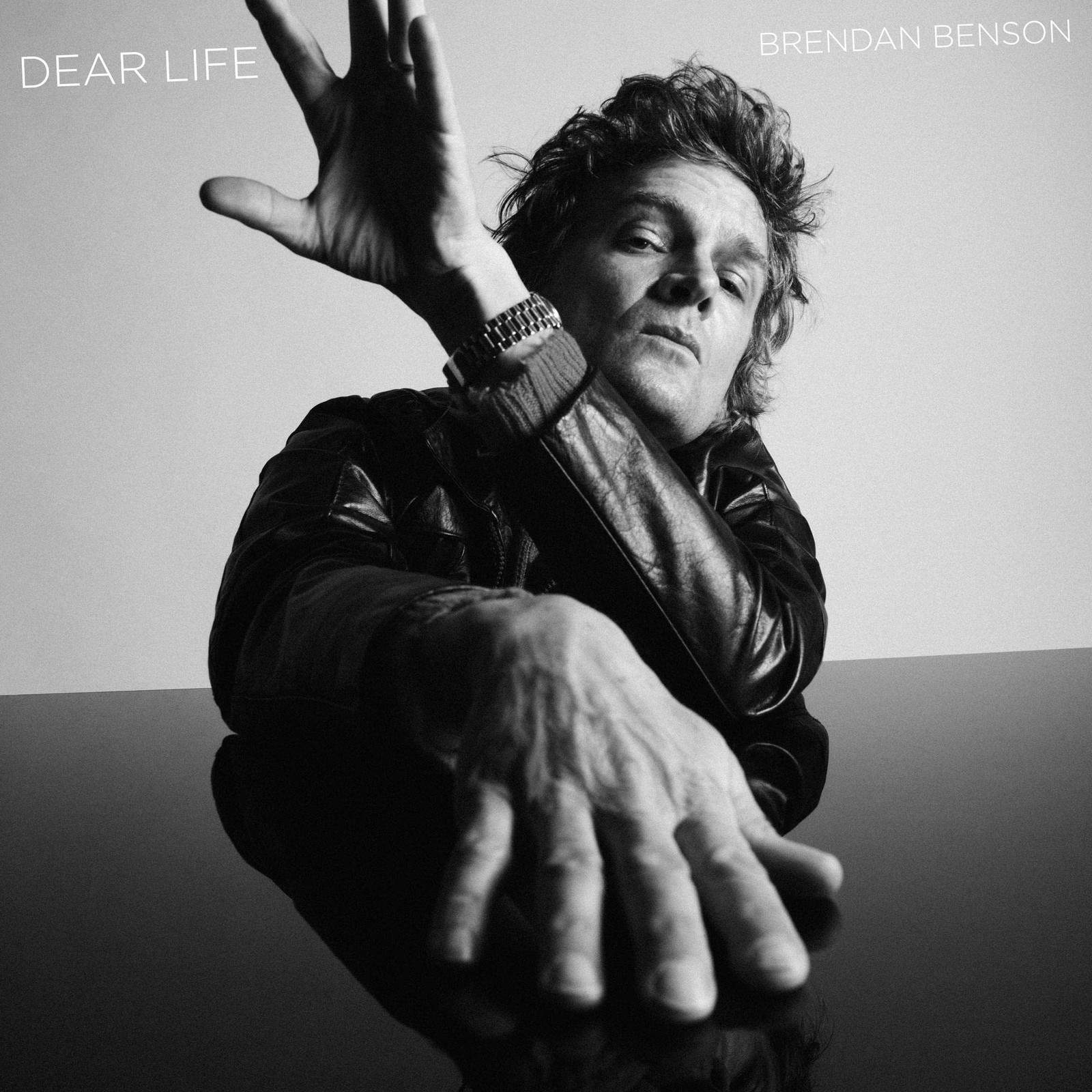 Brendan Benson Dear Life LP Vinyl TMR650LP NEW