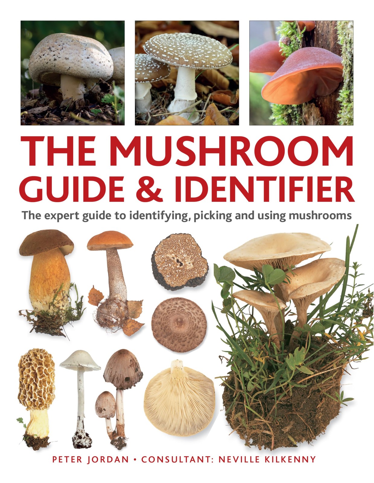 Peter Jordan Neville Kilkenny The Mushroom Guide & Identifer (Copertina rigida)