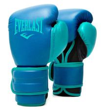 Everlast TRAINING GLOVES KIT 16 Oz PowerLock ...