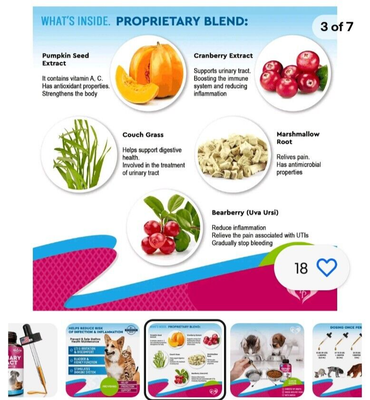 Picture of Urinary Tract Infection Treatment At Home Natural Urinary Tract