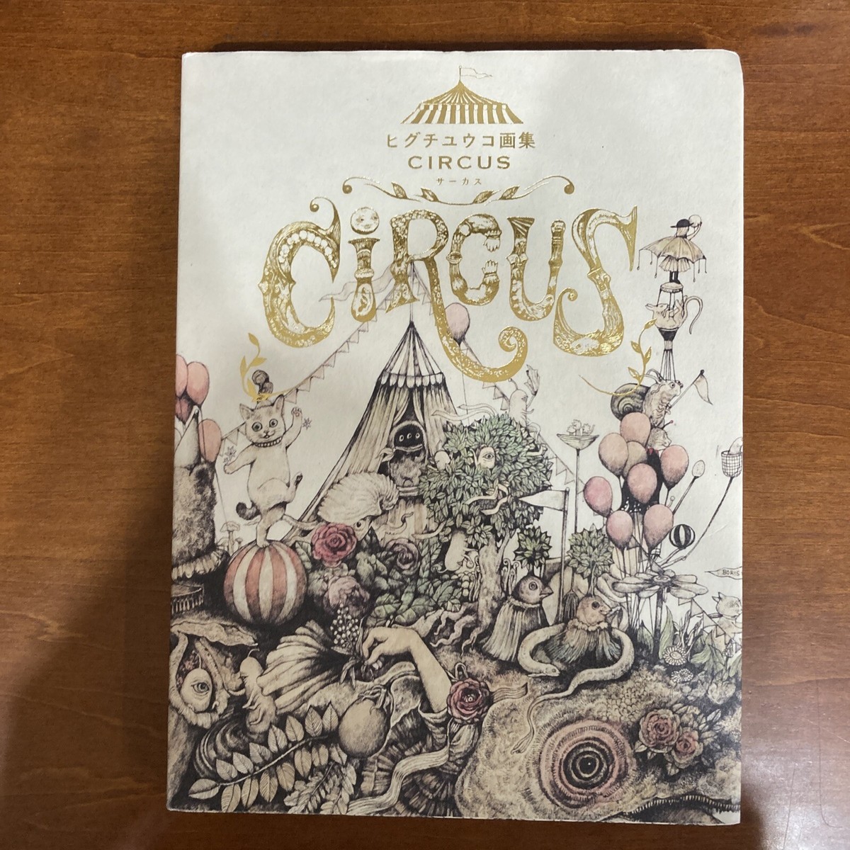 Yuko Higuchi Art Book CIRCUS Illustration | eBay