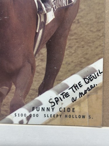 Funny Cide vs Spite the Devil – Framed Photo Finish – Sleepy Hollow Stakes - Picture 3 of 4