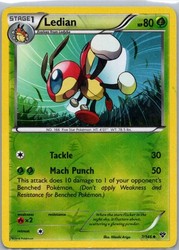 Ledian 7/146 XY Base Set Reverse Holo