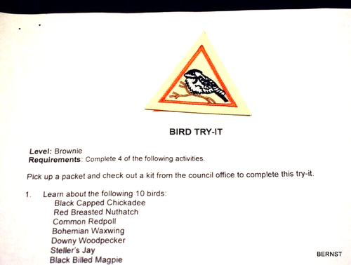 BROWNIE LOCAL TRY-IT BADGE AND REQUIREMENTS - BIRD - Picture 2 of 3