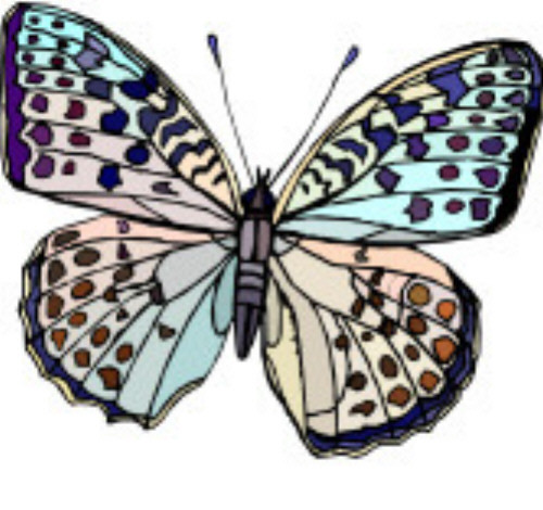 Address Labels - Butterfly 33 - Picture 1 of 1