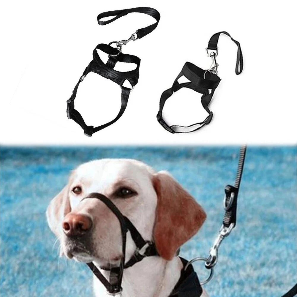 No pulling on sale dog collar