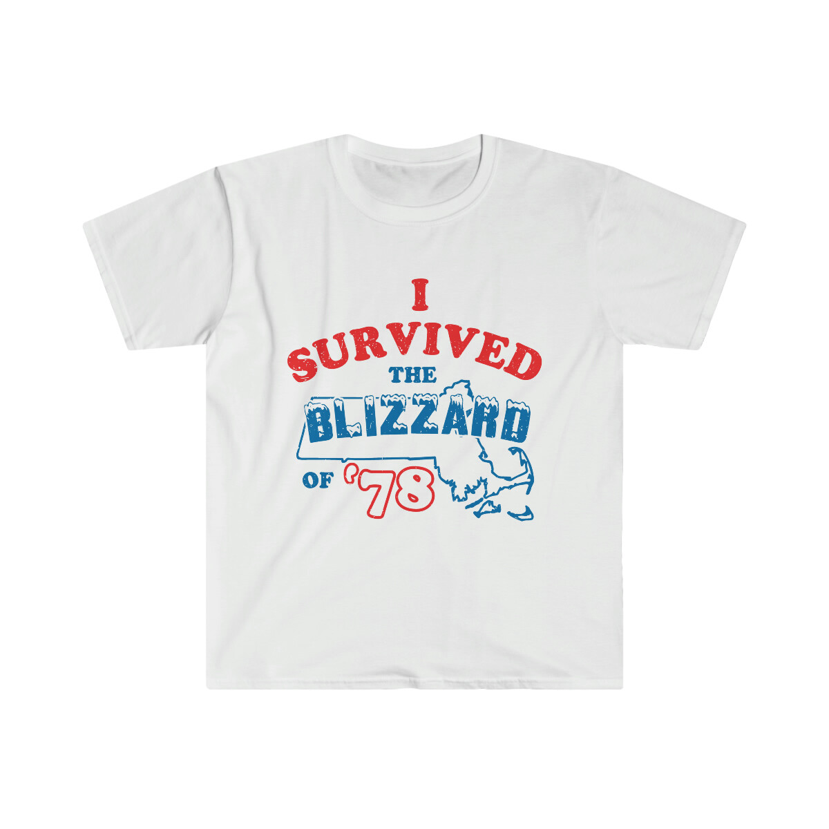 I SURVIVED THE BLIZZARD of 78 Men's Tee T Shirt