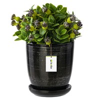 Blumentopf BlumenüBertopf Schwarz Silber Blumenschale Mit Untersetzer Rund 21,5