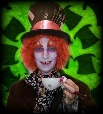 Alice In Wonderland Mad Hatter Mens Adult Fancy Dress Halloween