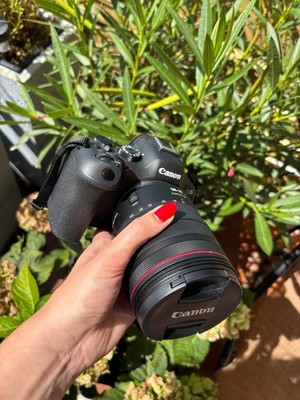 Canon EOS R6 Mark II   RF 24-105mm F4 L IS USM